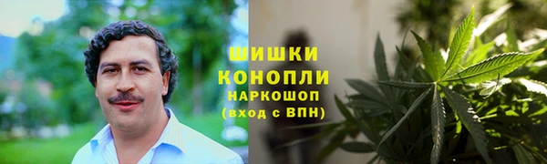 PSILOCYBIN Абдулино
