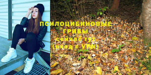 PSILOCYBIN Абдулино