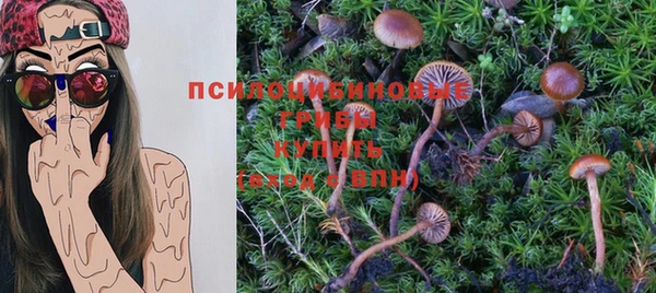 СК Абаза