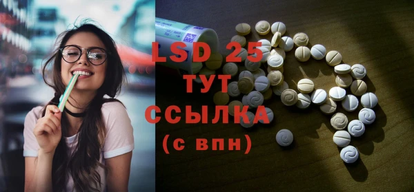PSILOCYBIN Абдулино